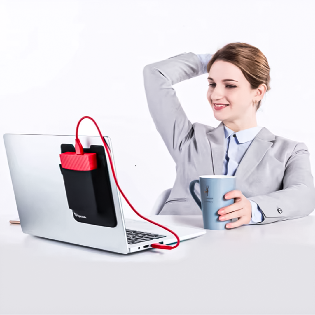 Laptop Storage Bag