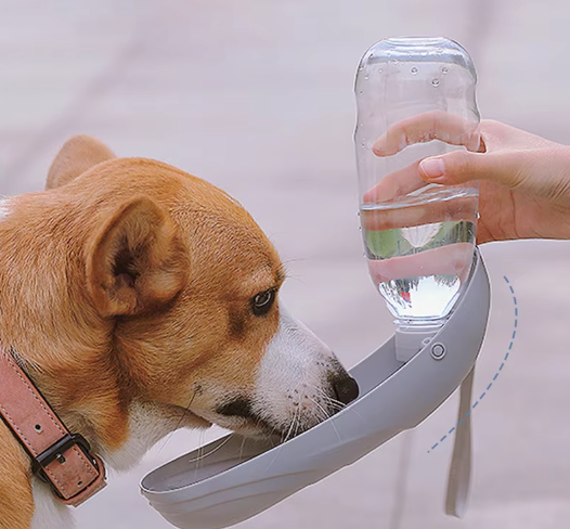 Portable Water Feeder