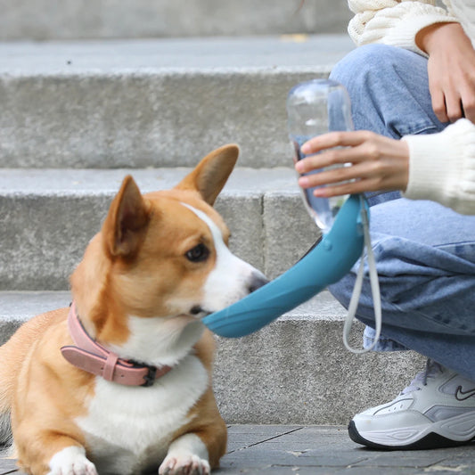 Portable Water Feeder