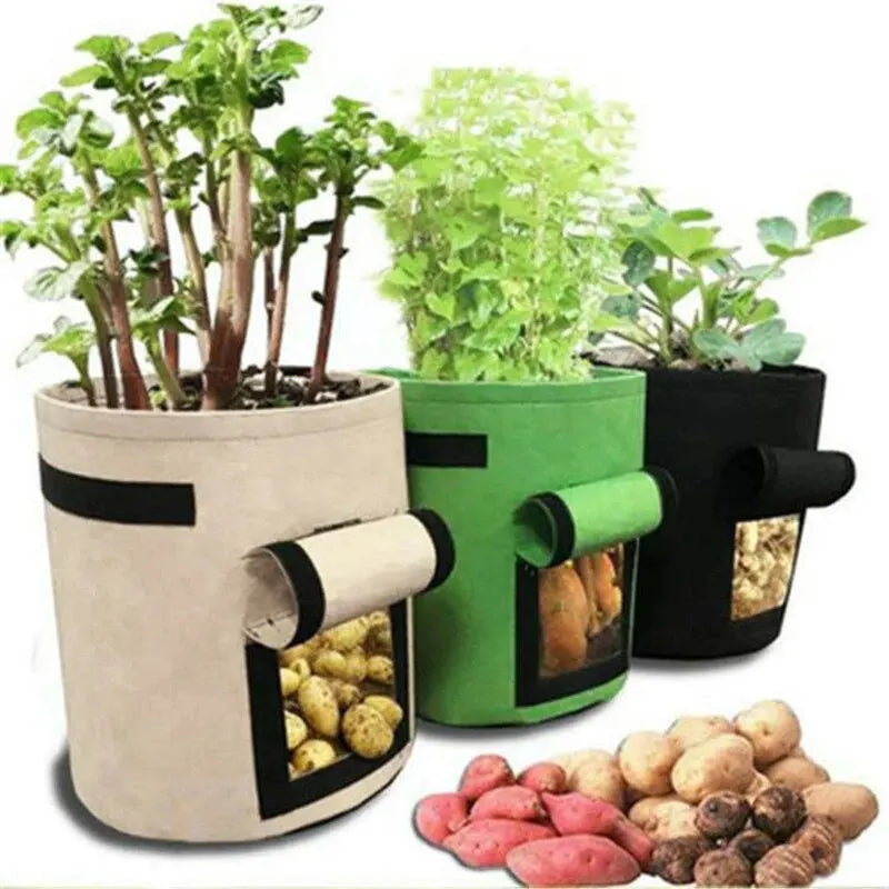 Planting Bag