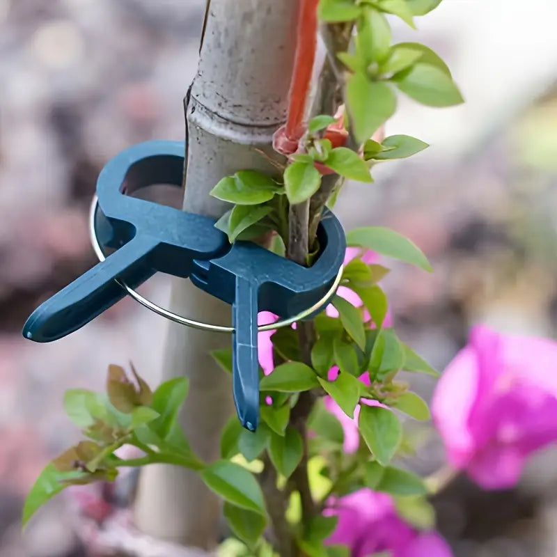 Plant Fixed Clips